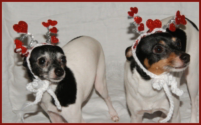 ValentinesDay2011_Puppyheadgear.jpg