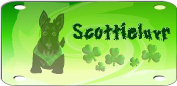 Scottie-Airbrush.jpg